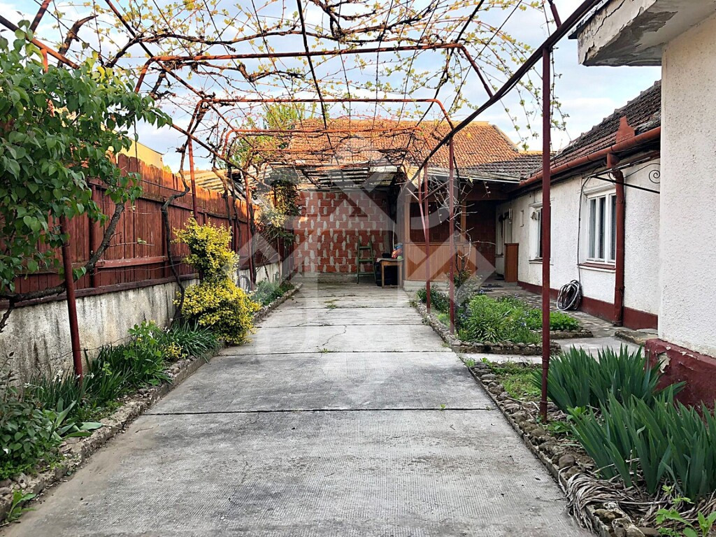 Casa singur in curte, Rogerius, Oradea