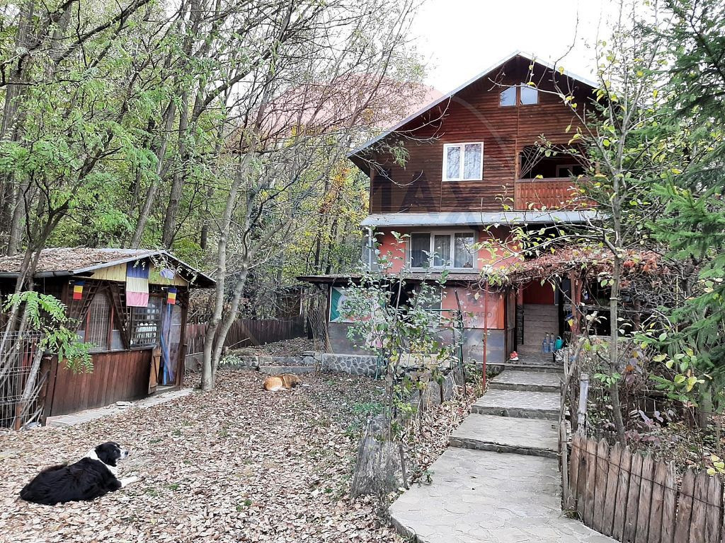 Vanzare casa Provita de Jos Prahova