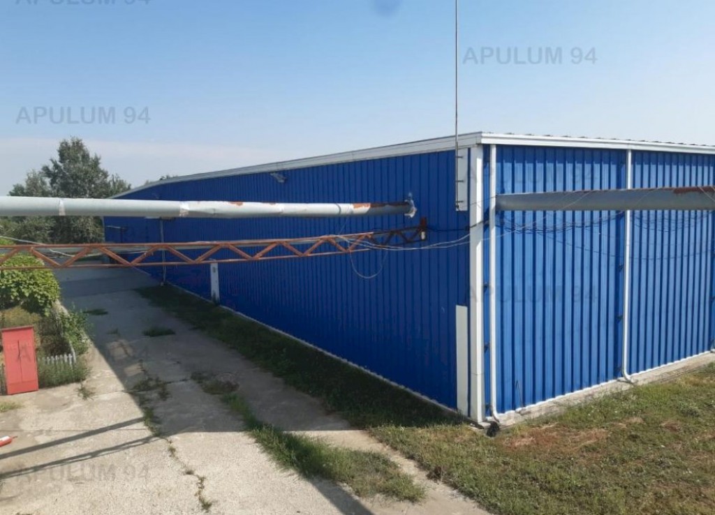 Spatiu Logistic langa Bucuresti Hala 5000 mp