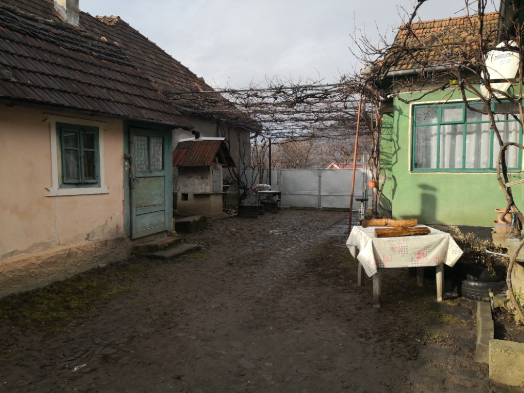 Casa și anexe, 25 ari teren, loc. Sărata