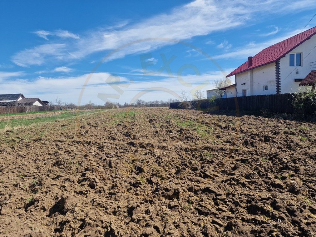 Teren intravilan cu utilitati Mosoaia Arges