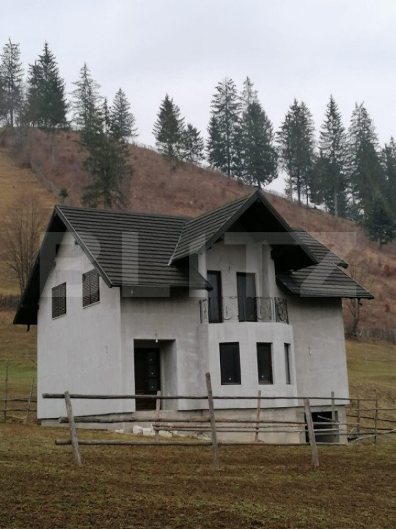 Casa individuala partial mobilata, 5000mp teren, Sat Negrile