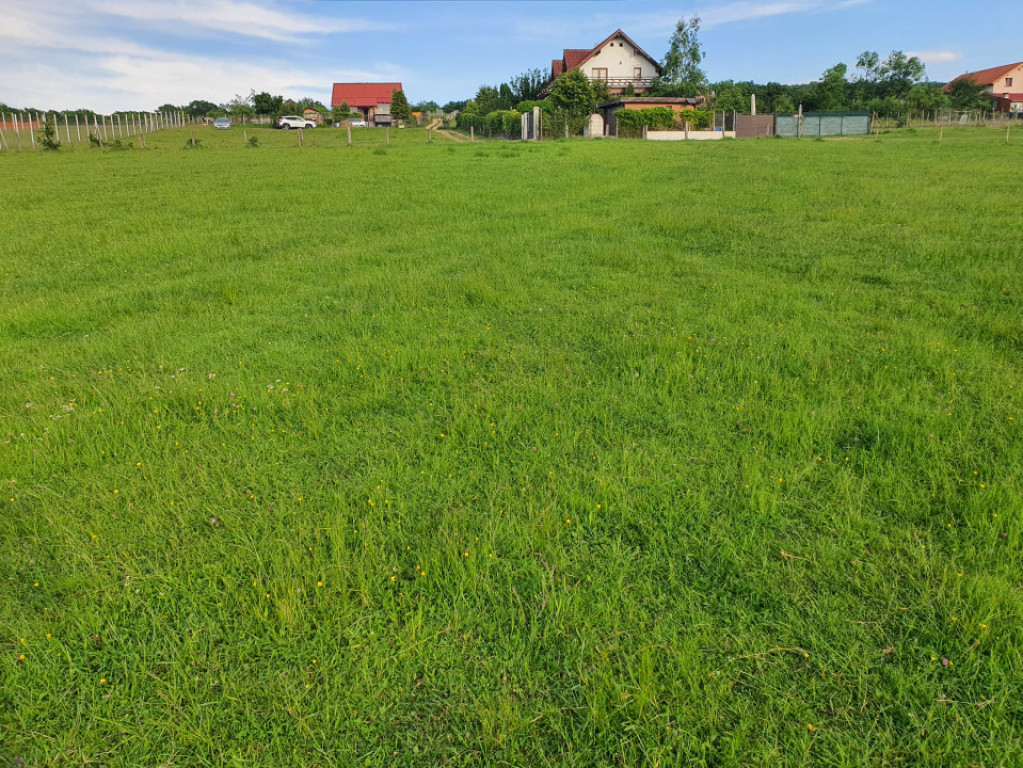 Teren intravilan, 1450 mp de vânzare în Cisnadie, zona Som