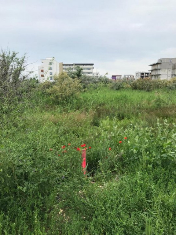 Teren situat in Mamaia Nord - zona Club NAUTIC, aproape de