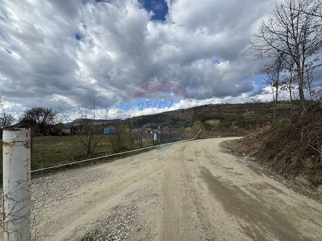 Teren Intravilan ILBA 50M fata de DN