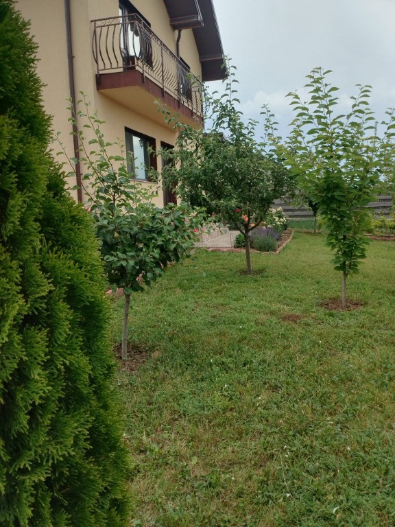 Casa Valea Adanca, terasa, beci, vedere lac