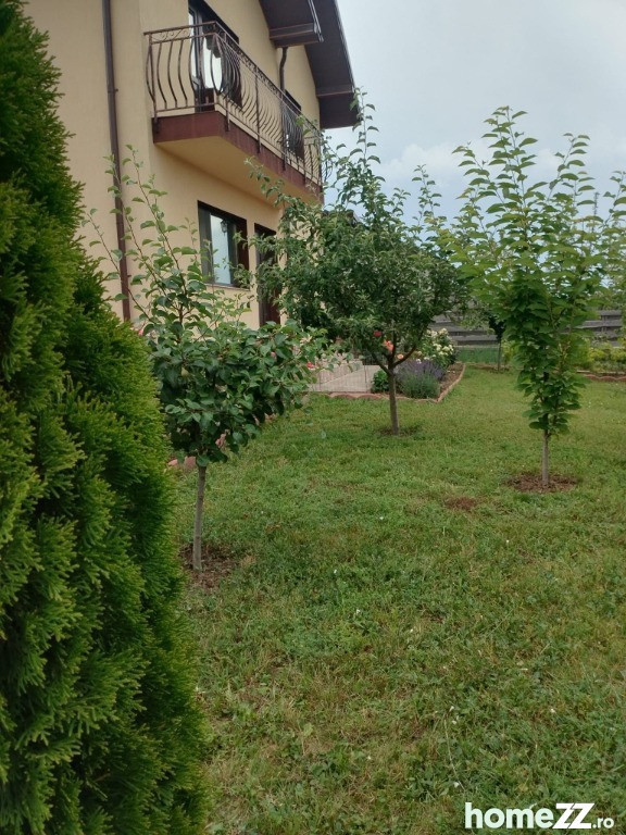 Casă 3 camere+living, Valea Adânca, terasa, beci