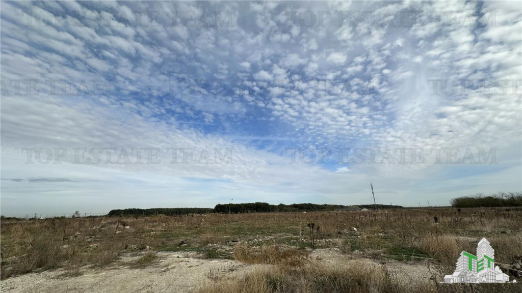 Teren intravilan 40000 mp in orasul Pantelimon