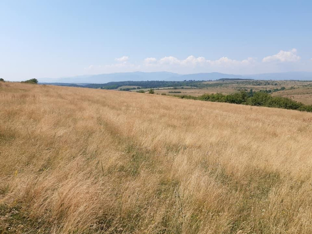 Teren agricol de vanzare in Sibiu zona Centrului de echitati