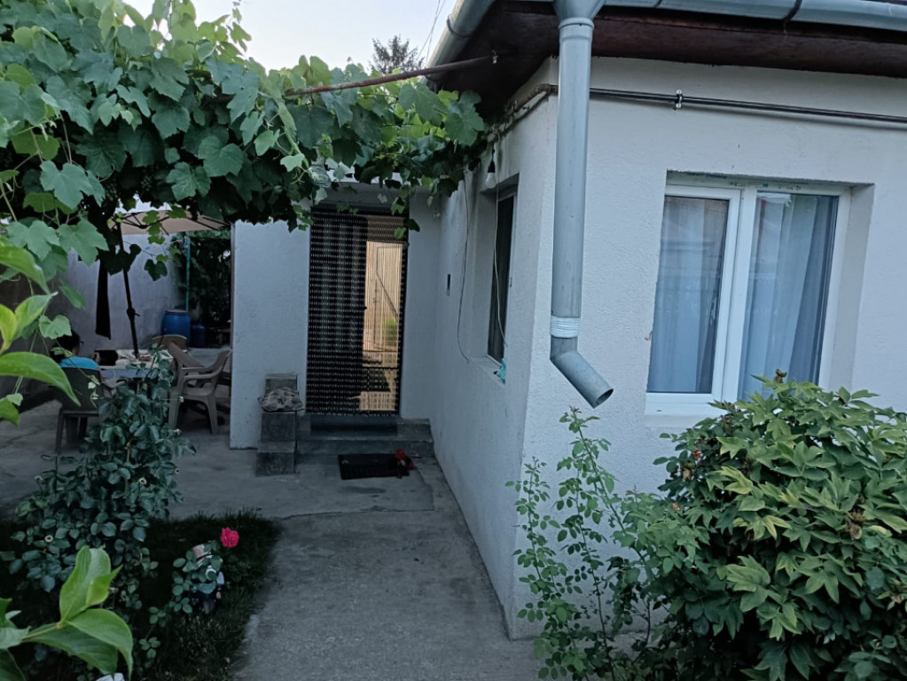 Casa | Zona Dorobanțu