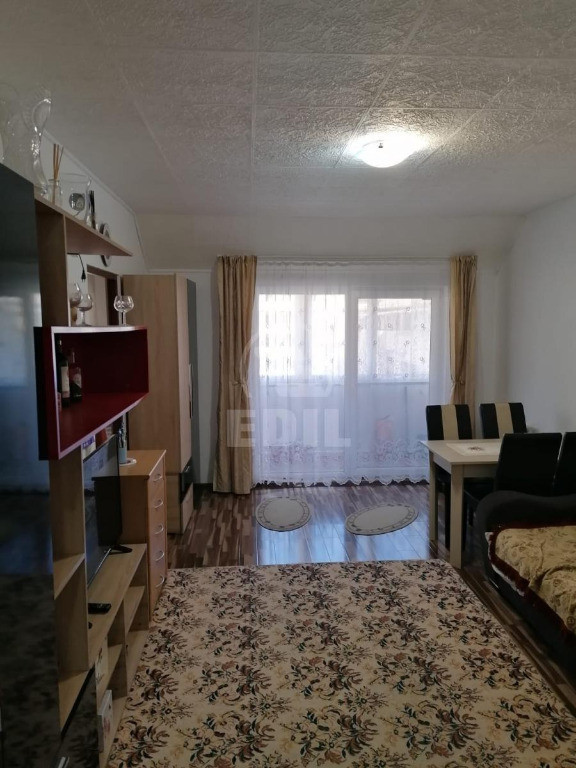 Apartament 1 camera zona Porii,mobilat si utilat