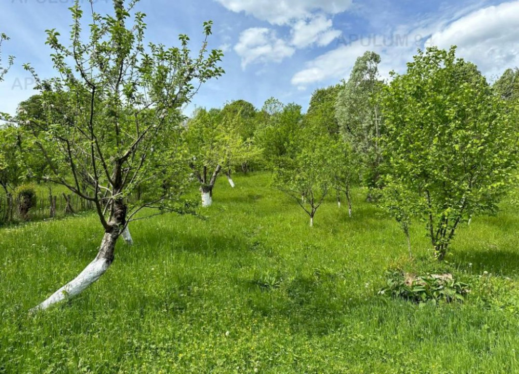 Teren de vânzare in Ocina de Jos