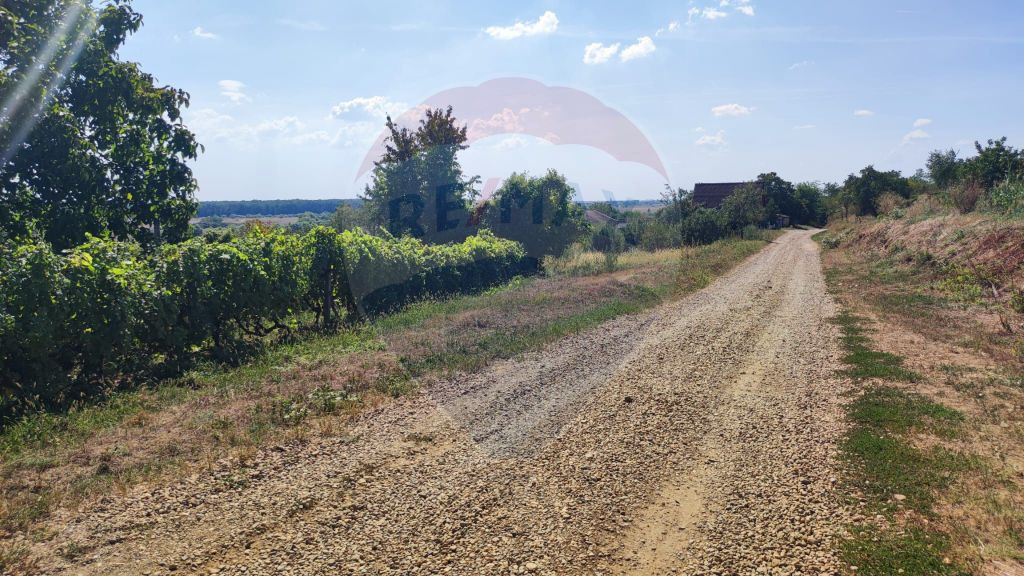 Loc de casa si teren cultivat cu vita de vie 1,28 Ha Sant...