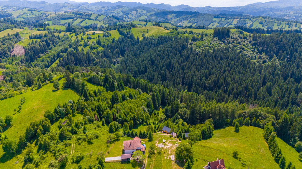 Teren Intravilan in Bran, Brasov (Oaza Ta de liniste la Munt