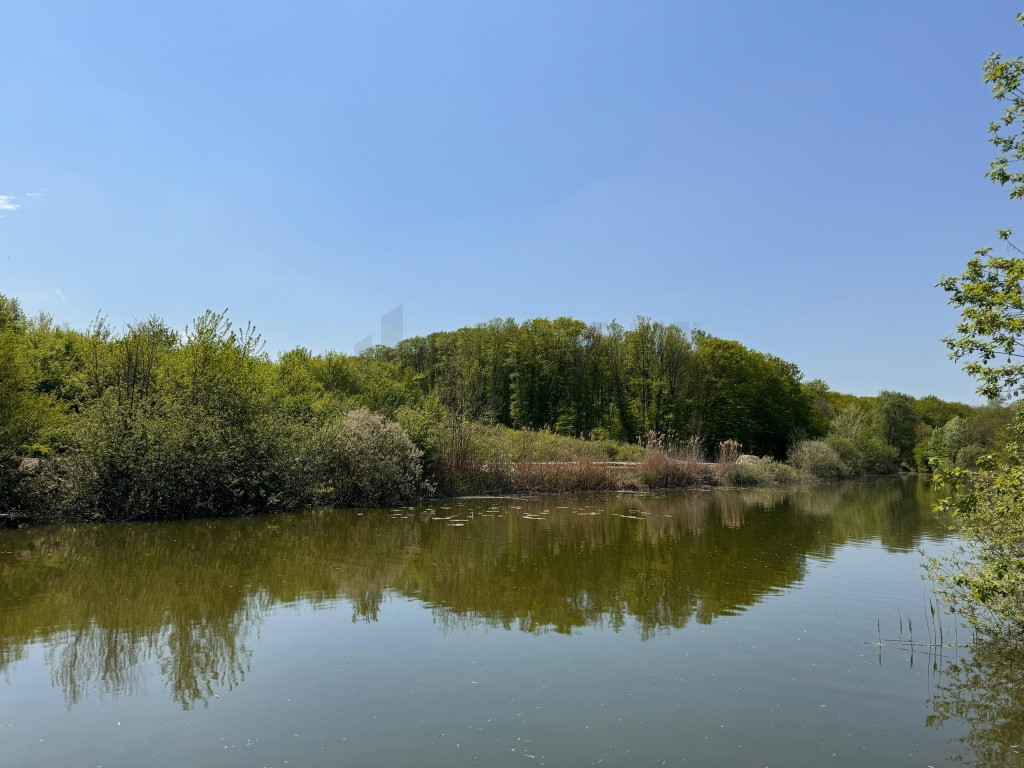 Teren 16756 Deschiere Lac Silistea Snagovului De Vanzare