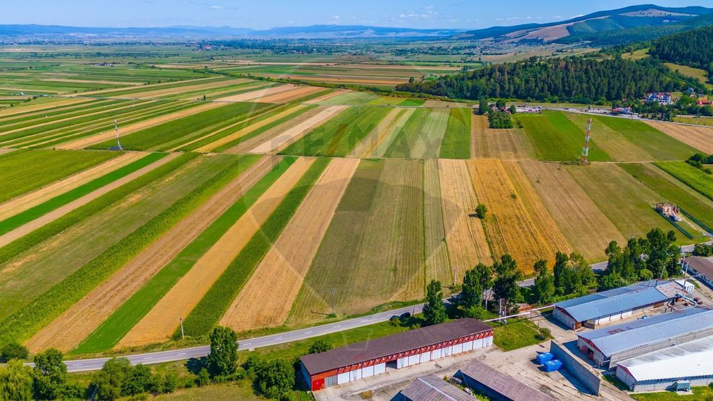 Teren insorit in Teliu, 7000mp, cu front la strada!