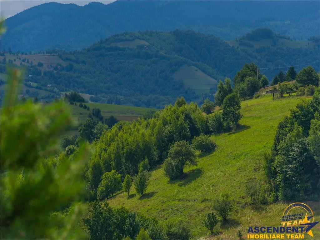 Oaza de liniste si frumusete, reconectare cu natura, 16.000