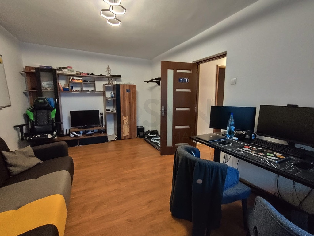 Apartament 2 camere Teiul Doamnei