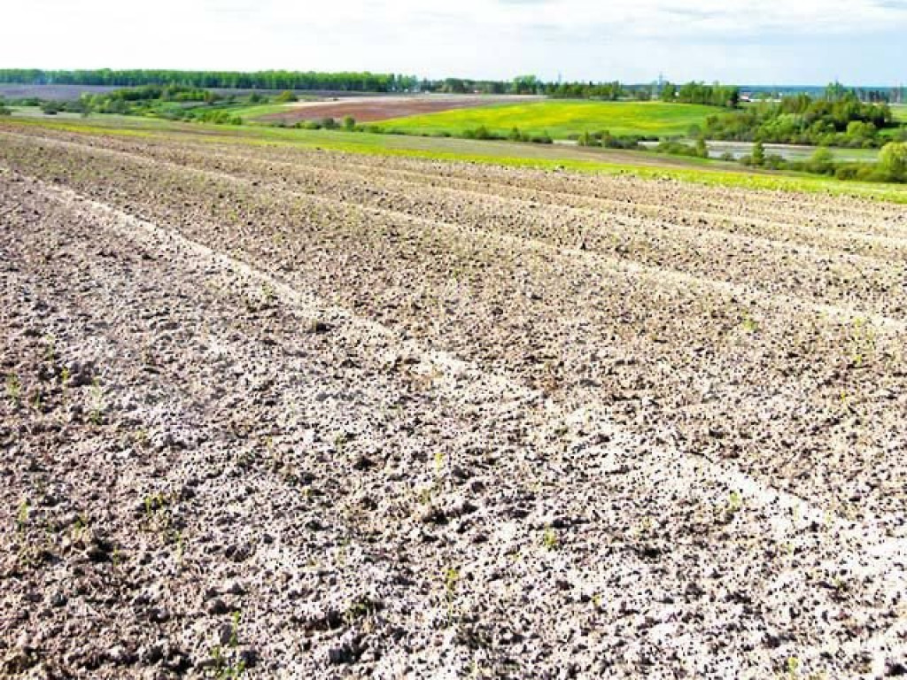 Teren de vanzare livada de bihor 5800 mp