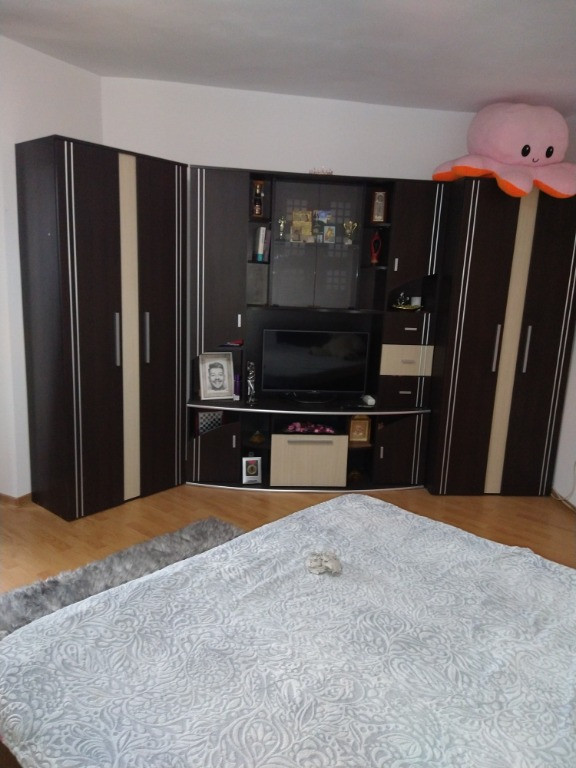 Apartament 2 camere Ostroveni