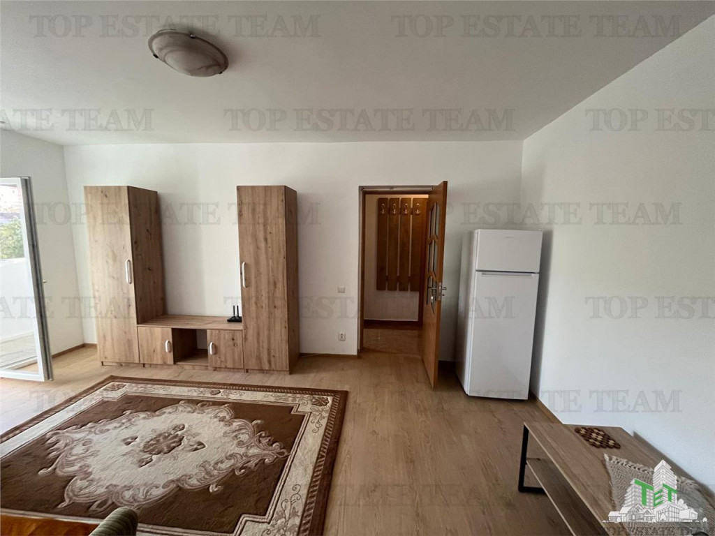 De inchiriat apartament 2 camere Nitu Vasile