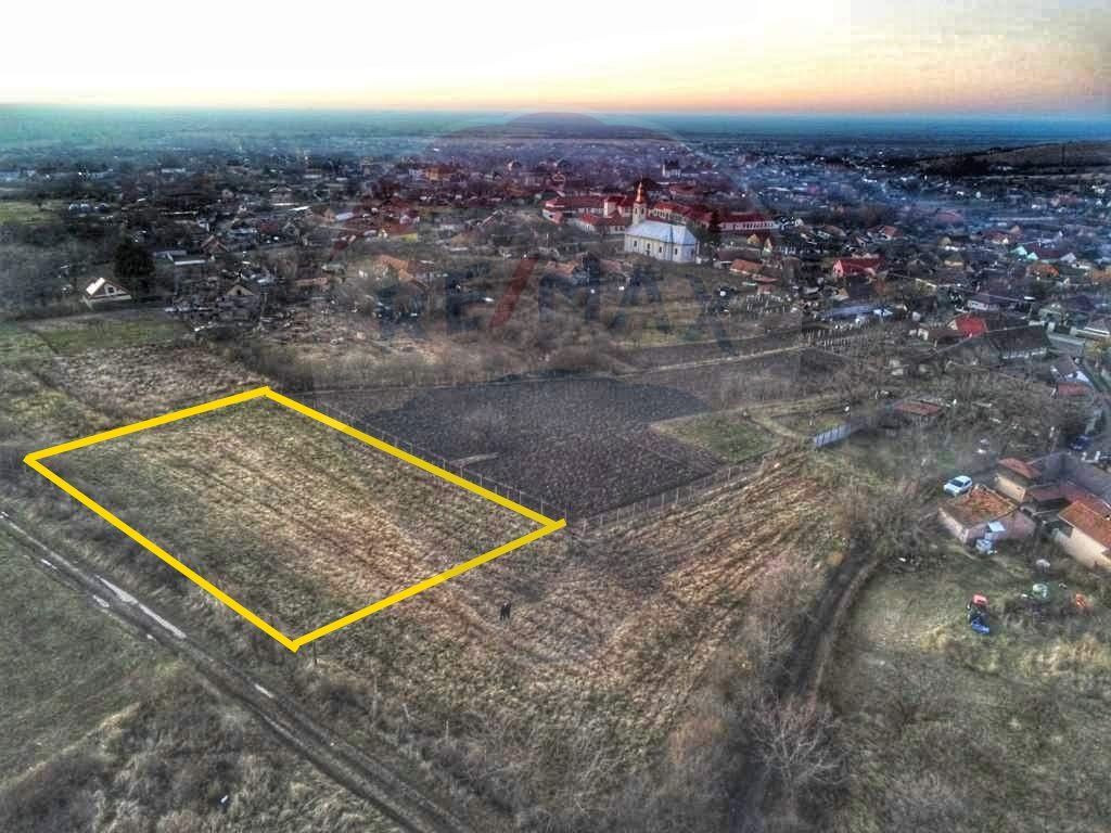 Teren de 2,199 mp cu potențial în Covăsânț, zona deal