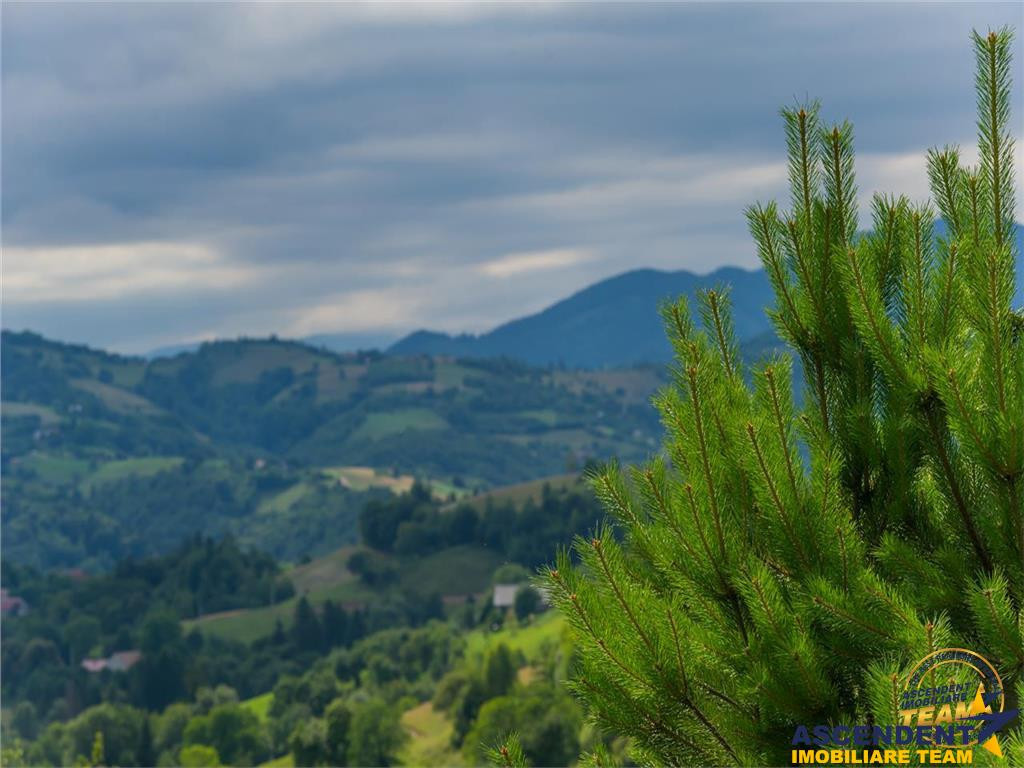 Oaza de liniste si frumusete, reconectare cu natura, 16.000