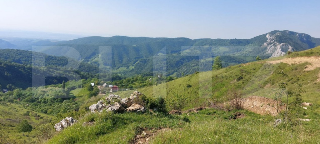 Teren extravilan pentru cabana, 3800 mp, zona-Ramet Transapu