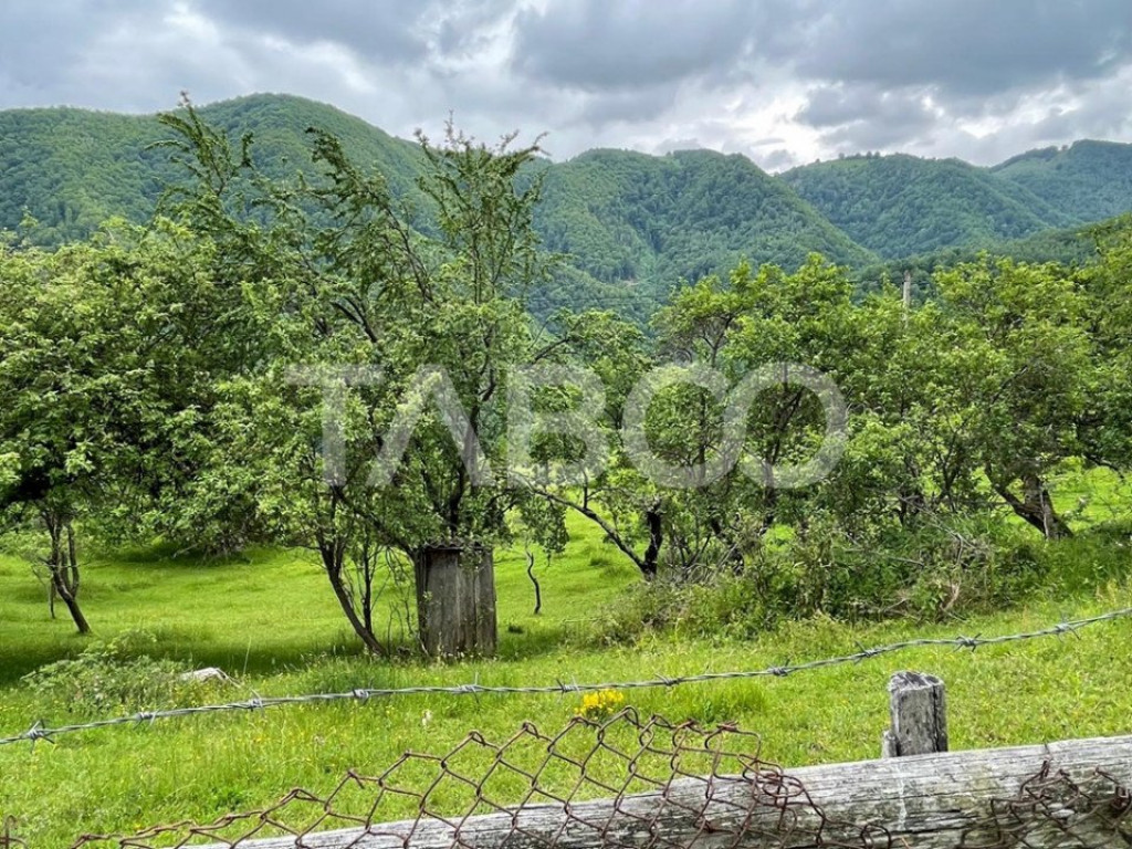 Teren intravilan de vanzare in Martinia de sus