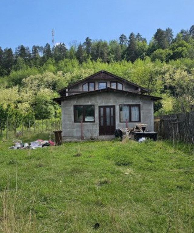 Casa de vanzare si fabrica de paine, zona Darmanesti!