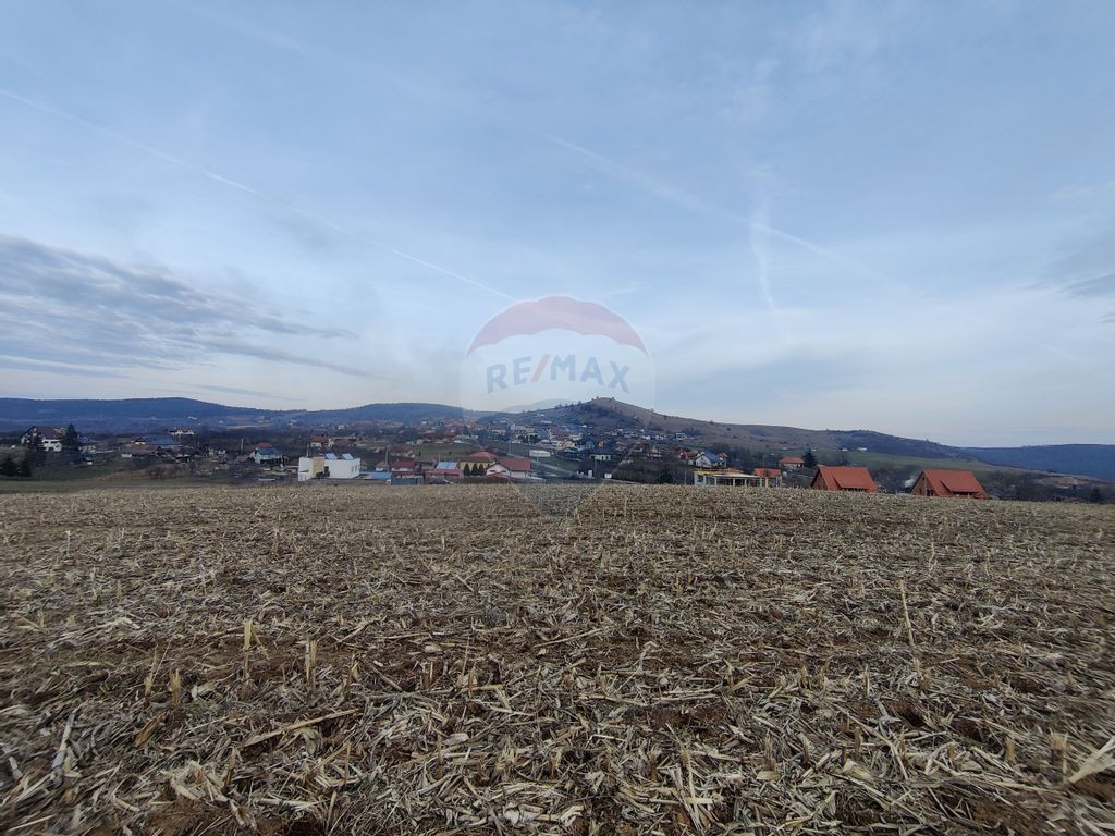 Teren intravilan de vanzare in Salicea, 3000 MP