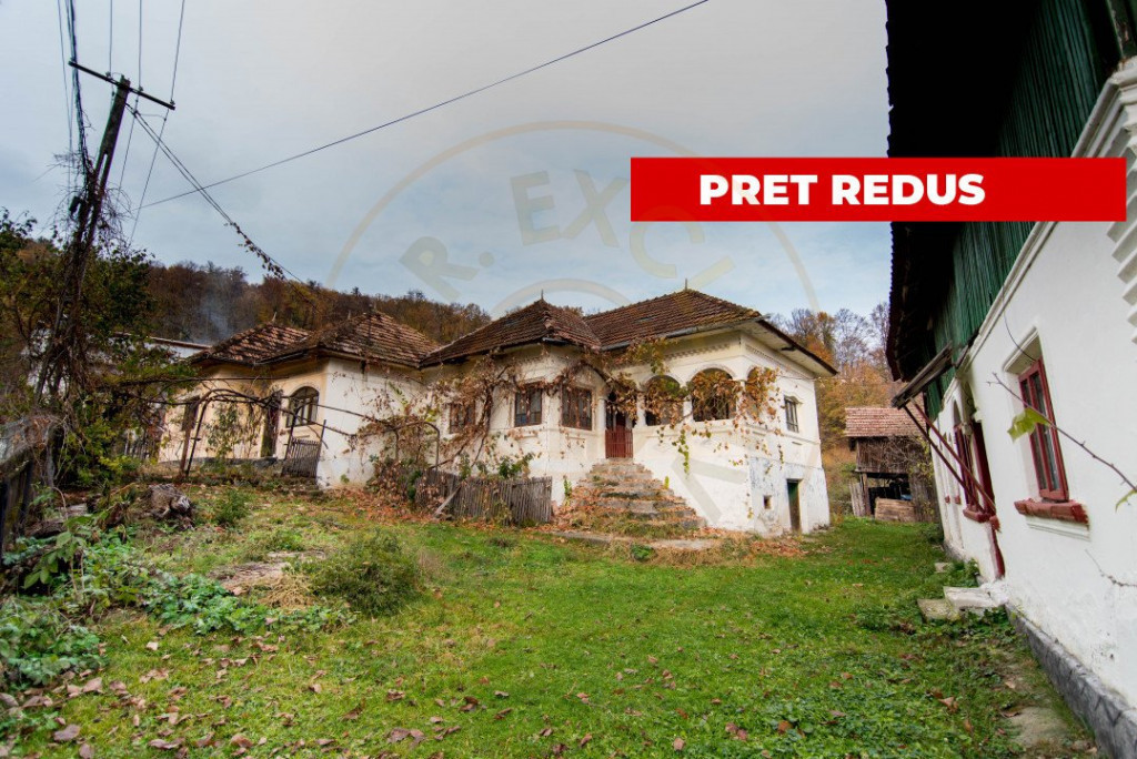 Gospodarie traditionala in loc. Vulturesti-15 km de Mioveni.