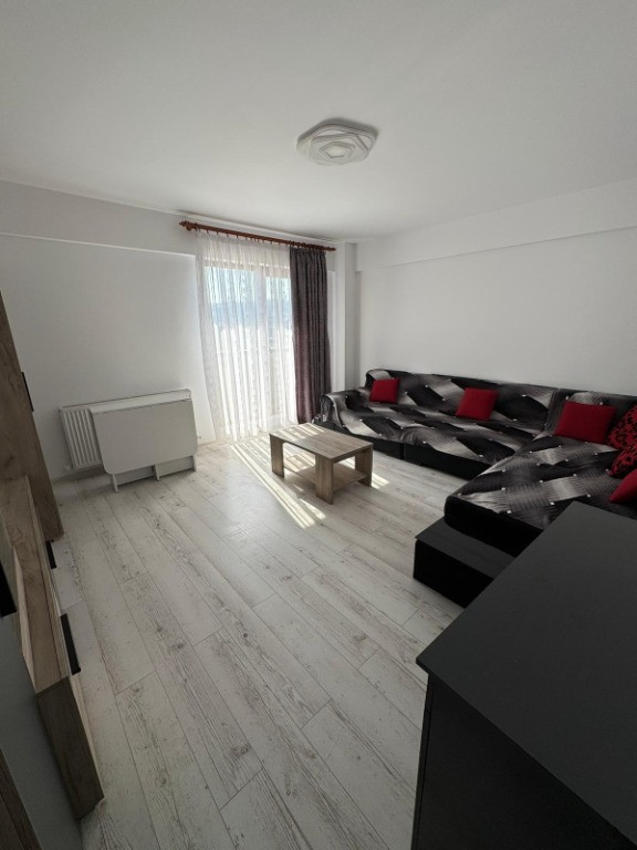 Apartament cu o camera in Visan