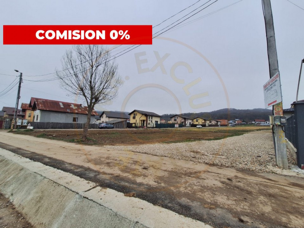 Teren intravilan Brăileni-Valea Ursului toate Utilitatile